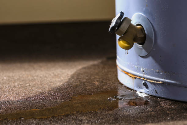 Best 24/7 water damage repair  in Summer Set, MO