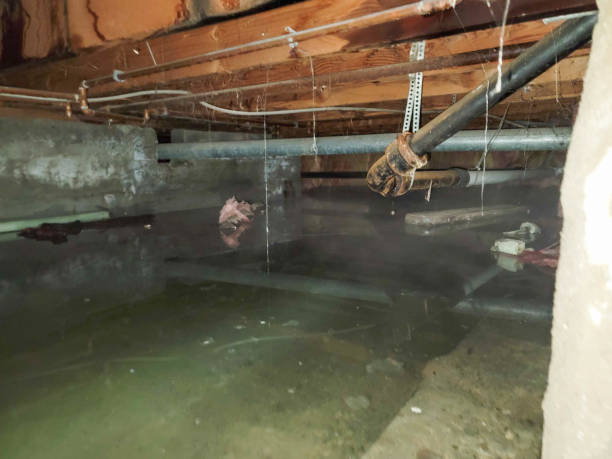 Best Sewage cleanup and water damage restoration  in Summer Set, MO