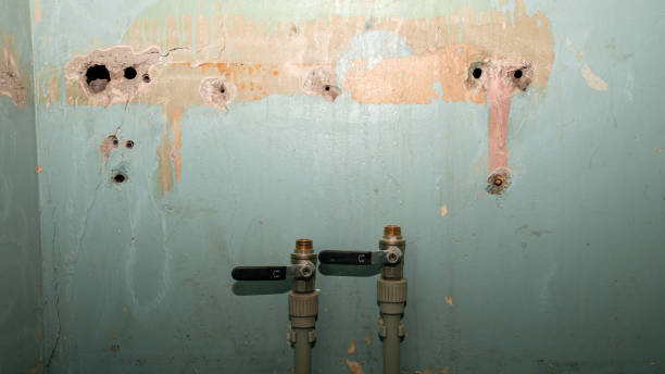 Best Flood restoration services  in Summer Set, MO